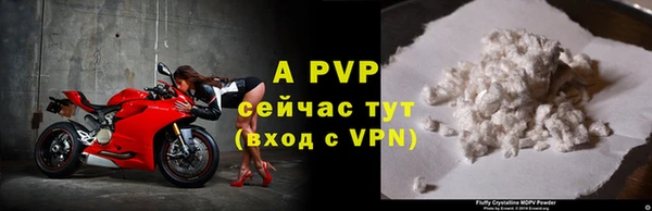 apvp Алексин