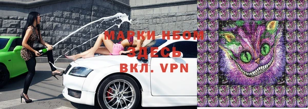 apvp Алзамай