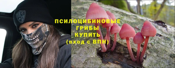 apvp Алексин