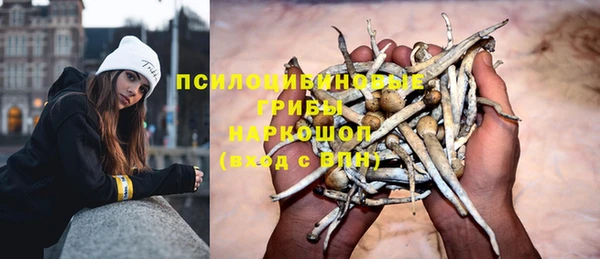 apvp Алзамай