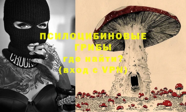 apvp Алексин